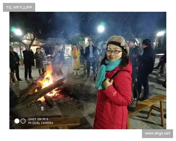 如何在猫鼠间架起友谊桥梁共享欢乐时光 如何在猫鼠间架起友谊桥梁共享欢乐时光