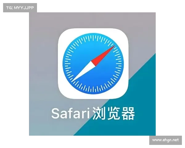 提升火狐浏览器使用体验的全新功能与必备技巧解析 提升火狐浏览器使用体验的全新功能与必备技巧解析